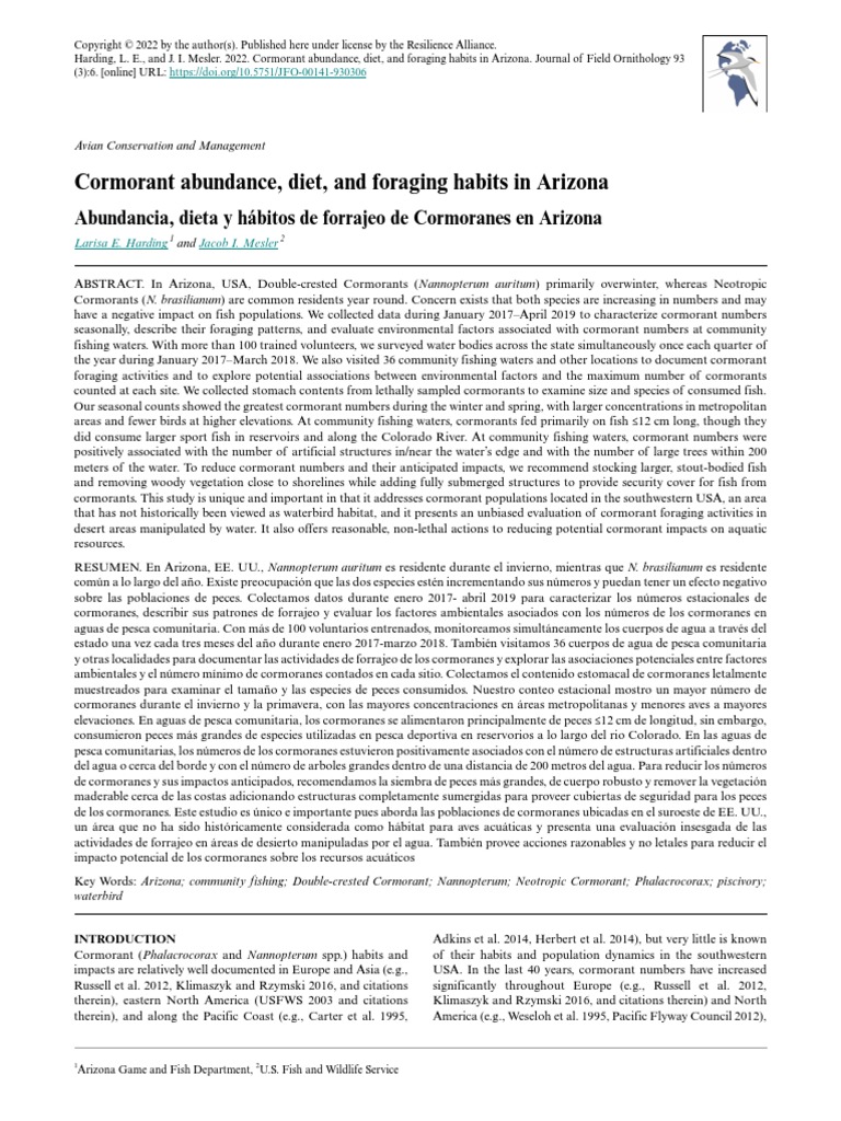 Cormorant Abundance, Diet, and Foraging Habits in Arizona PDF