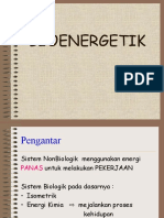 Bioenergetik PPT