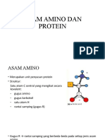 Asam Amino Dan Protein