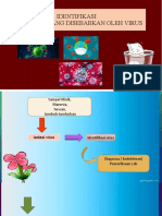 Identifikasi Virus& Penyakit Virus