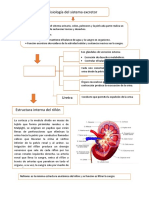 Biologia