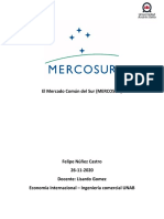 El Mercado Común Del Sur (MERCOSUR)