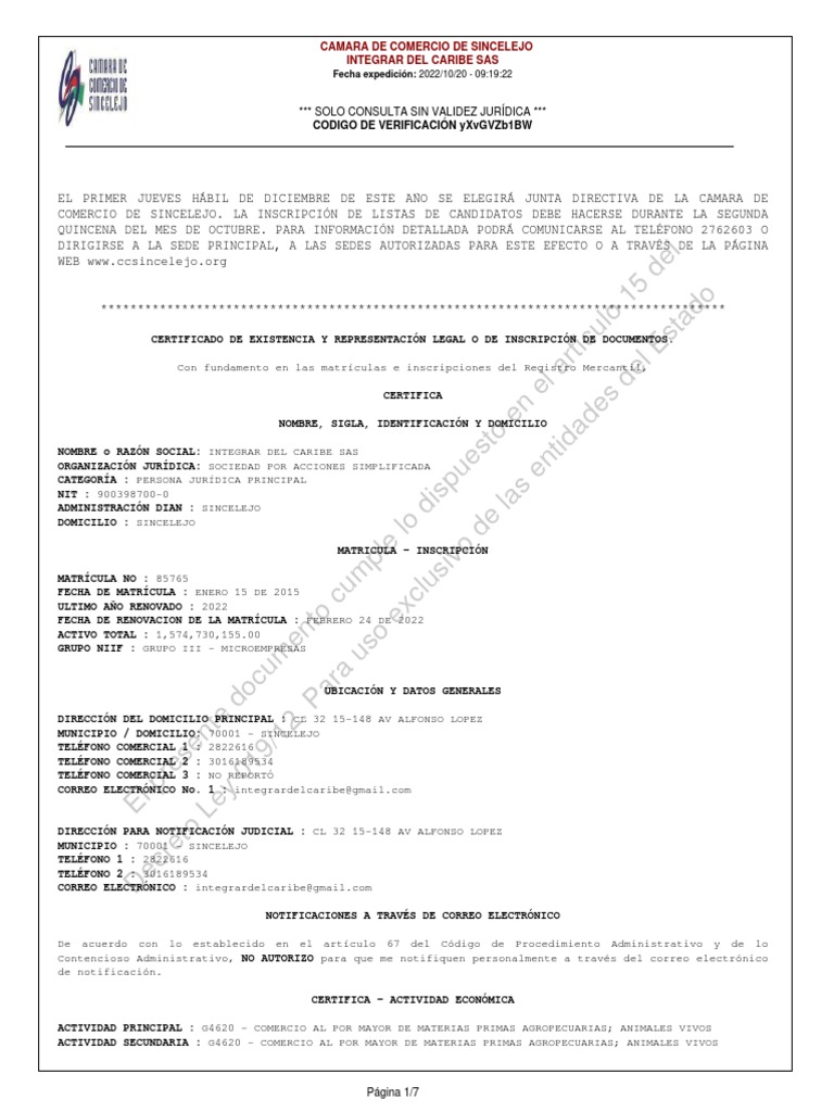 Camara de Comercio Sas Actividades de Ingenieria y Arquitectura PDF Sociedad de