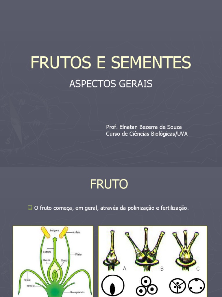 Classificação dos Frutos e Sementes | PDF | Fruta | Reprodução