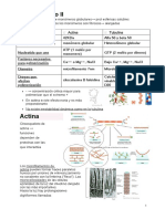 Citoesqueleto II