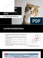 Alteraciones Del Sistema Reproductivo en Gatos: Dra. María Jesús Maceiras