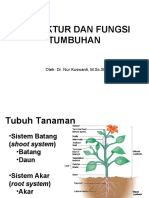 Struktur - Fungsi Tumbuhan - 2021