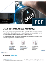 B2B Academy - Programa
