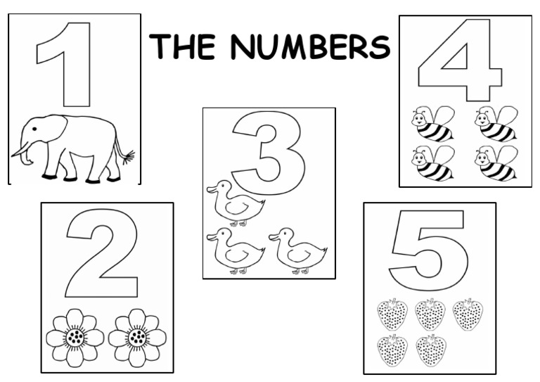 The Numbers 1 A 5 | PDF