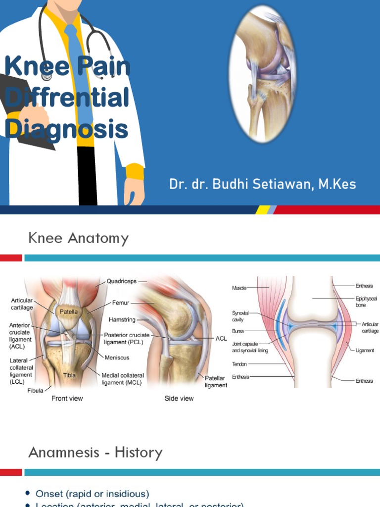 Knee Pain Differential Diagnosis Lecture PDF