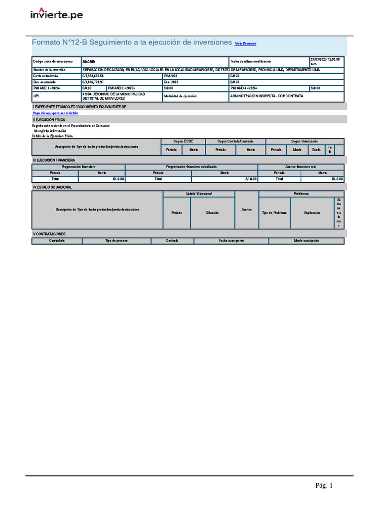 formato-n-12-b-seguimiento-a-la-ejecuci-n-de-inversiones-vista-resumen