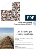 Què És La Sociologia I La Perspectiva Sociològica?