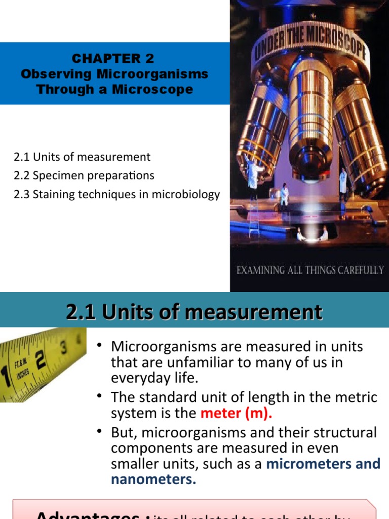 Chapter 2 Bio461 | PDF | Staining | Microscope