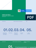 Cadena de Flores: Dirección de Cadenas Agrícolas y Forestales Febrero 2020