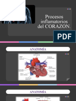 Anatomia Patologica Procesos Inflamatorios Del Corazon