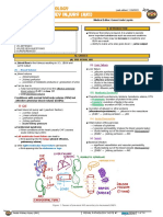 Renal Pathology Acute Kidney Injury AKI