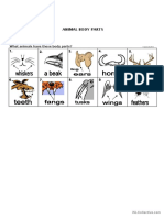 Animal Body Parts