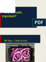 02 - Cells Powerpoint