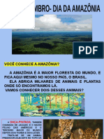 Conheça a Amazônia e seus animais