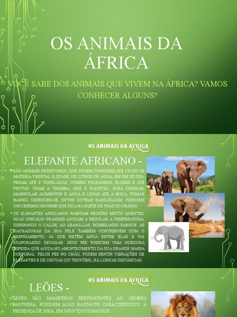 Animais Nativos da África | PDF | Girafa | Rinoceronte