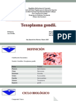 Toxoplasma Gondii - Zoologia