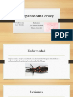 Trypanosoma Cruzy: Profesor (A) Luz Triviño