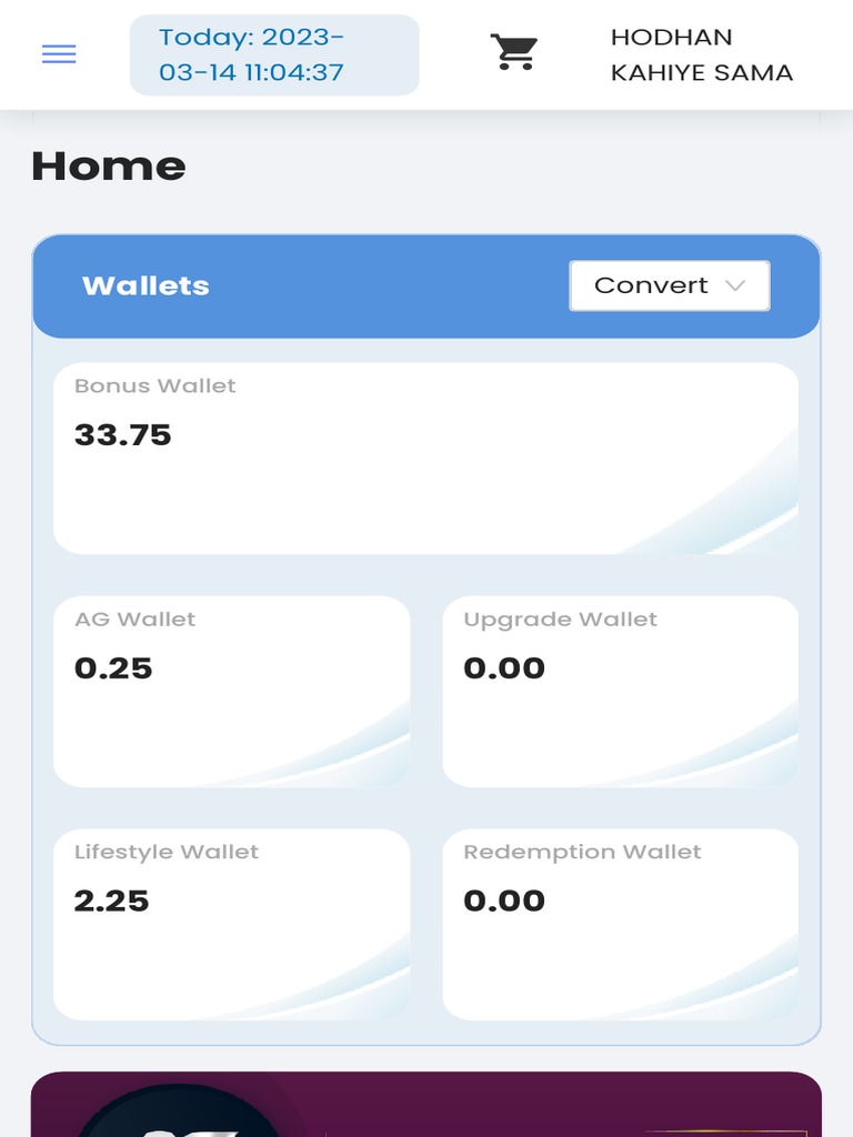 Wallet Balances Overview | PDF