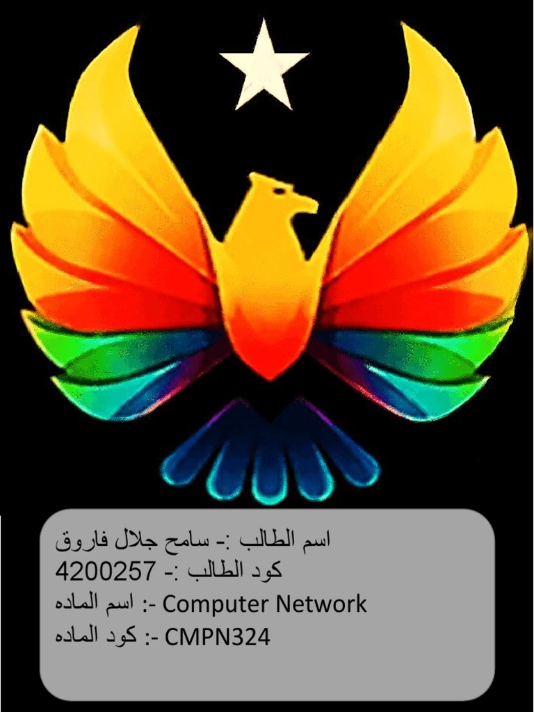 Assignment2 CMP424 CH4 Error Detection and Correction Techniques