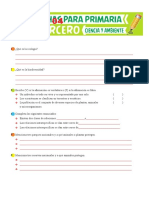 Examen 04 de Ciencia y Ambiente para Tercero de Primaria