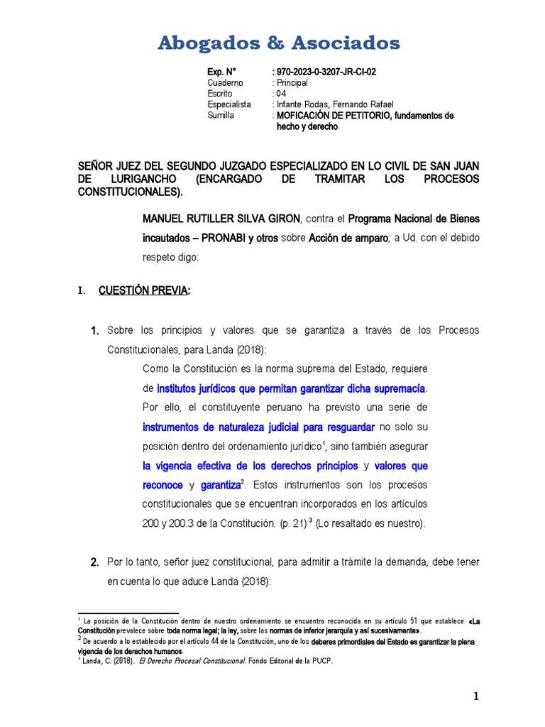 AMPLIACION DE DEMANDA DE AMPARO - Ultimo | PDF | Etica Aplicada | Ley ...