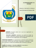 Las Organizaciones Y Su Entorno: Semana 11 Reunión 11 Unidad 2