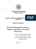 Mapeo Proyectivo