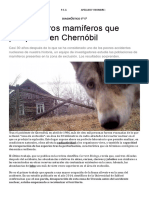 Lobos y Otros Mamíferos Que Prosperan en Chernóbil: Diagnóstico 5º 5º