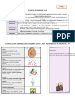 Niveles de Organizacion - 4° Sec