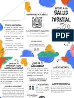 Salud Mental: Apoyo A La