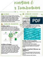 Jaringan Dan Organ Tumbuhan - Biologi by Catatanindahns