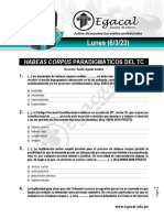 Ses1 6-3-23 GAG - Práctica Habeas Corpus HC