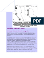 05.4.1.1 - Natural, Mental e Integrado:: Energias Externas