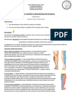 Dermatomas y nervios sensitivos de la pierna
