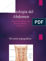 Semiología Del Abdomen: Andres Felipe Vargas Lopez Medicina Familiar Univalle