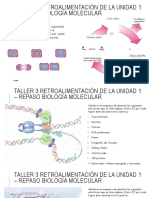 NEIDER DE JESUS ALVAREZ GOMEZ - 2022-09-282930 Taller de Repaso Biologia Molecular