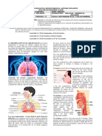 Guía # 07, Grado 6a-B-C-D-E, Biología, Ambiental, Religión, Andrés Algecira PDF