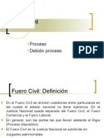 Fuero Civil: Proceso Debido Proceso