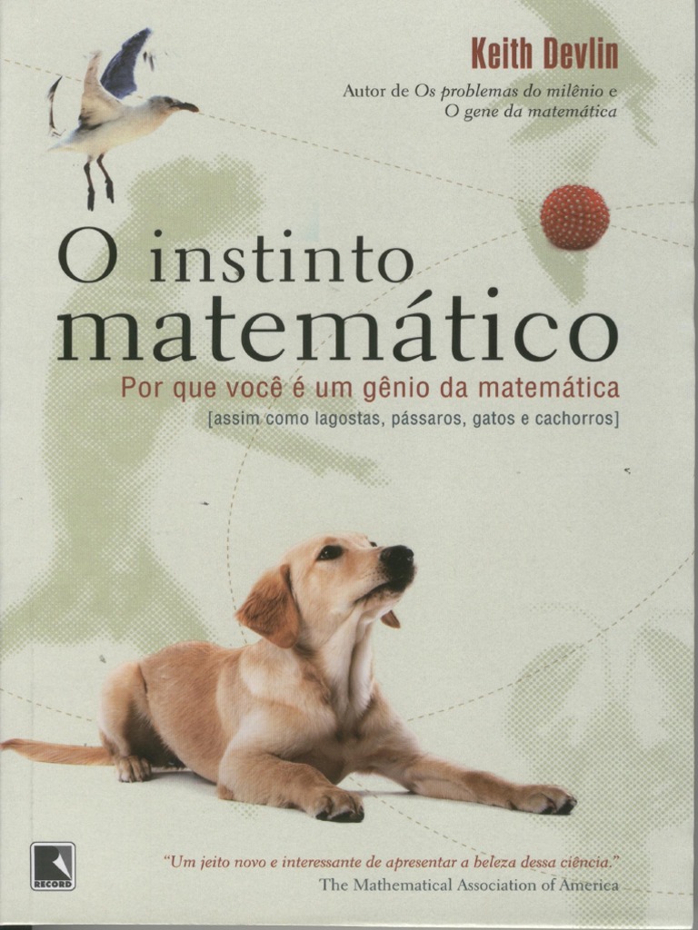 Resumo o Instinto Matematico Keith Devlin PDF