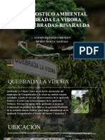 Diagnostico Ambiental Quebrada La Vibora Dosquebradas-Risaralda