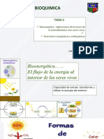 Bioquimica: Tema 2