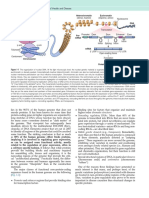21 - PDFsam - Robbins & Cotran Pathologic Basis of Disease, 9e
