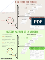 Historia Natural Del Dengue