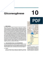 Cap 10 A 14 - Gliclise Gliconeogne Glicognese Via Pentose Fosfato