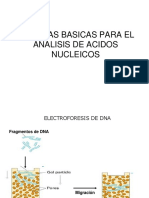 2A-Tecnicas Basicas de Analisis de Acidos Nucleicos